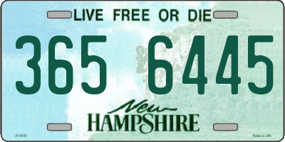 NH license plate 3656445