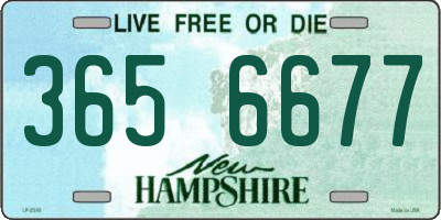 NH license plate 3656677