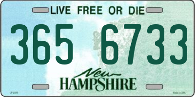 NH license plate 3656733