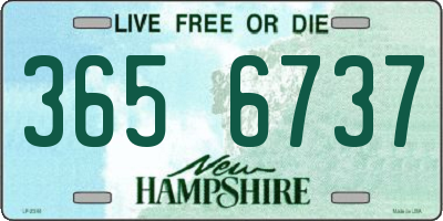 NH license plate 3656737