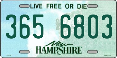 NH license plate 3656803
