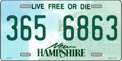 NH license plate 3656863