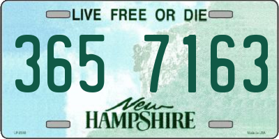 NH license plate 3657163