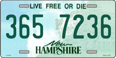 NH license plate 3657236