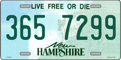 NH license plate 3657299
