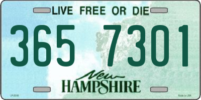 NH license plate 3657301