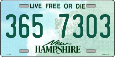 NH license plate 3657303
