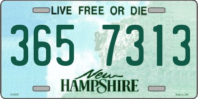 NH license plate 3657313