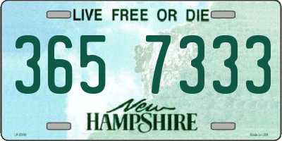 NH license plate 3657333