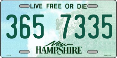 NH license plate 3657335