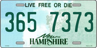 NH license plate 3657373