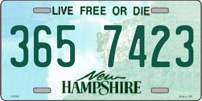 NH license plate 3657423