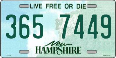 NH license plate 3657449