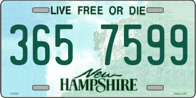 NH license plate 3657599