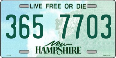 NH license plate 3657703