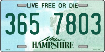 NH license plate 3657803