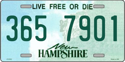 NH license plate 3657901