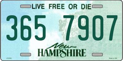 NH license plate 3657907