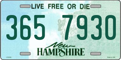 NH license plate 3657930