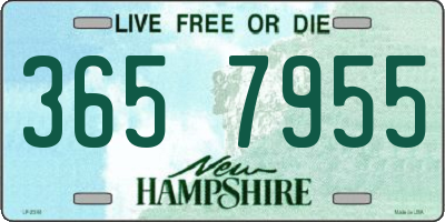 NH license plate 3657955