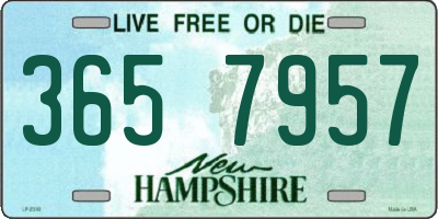 NH license plate 3657957