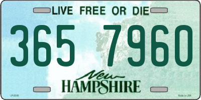 NH license plate 3657960