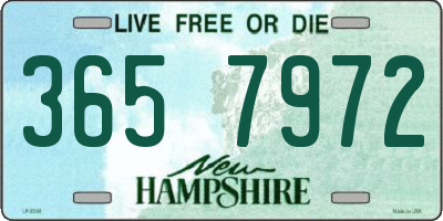 NH license plate 3657972
