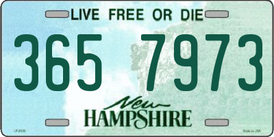 NH license plate 3657973