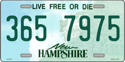 NH license plate 3657975