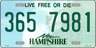 NH license plate 3657981