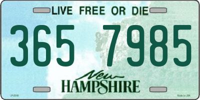 NH license plate 3657985