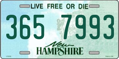 NH license plate 3657993