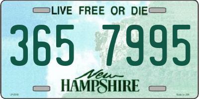 NH license plate 3657995