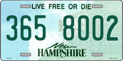 NH license plate 3658002