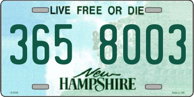 NH license plate 3658003