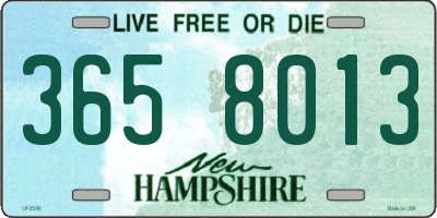 NH license plate 3658013