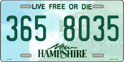 NH license plate 3658035