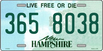 NH license plate 3658038