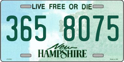 NH license plate 3658075