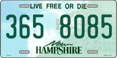 NH license plate 3658085