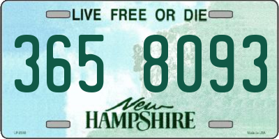 NH license plate 3658093
