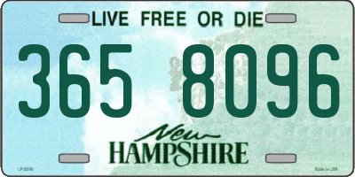 NH license plate 3658096