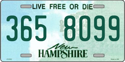 NH license plate 3658099