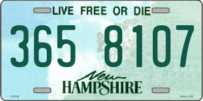 NH license plate 3658107