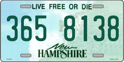 NH license plate 3658138