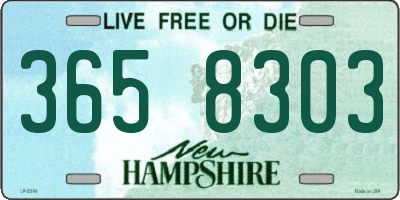 NH license plate 3658303