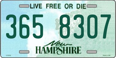 NH license plate 3658307