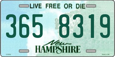 NH license plate 3658319