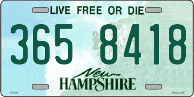 NH license plate 3658418