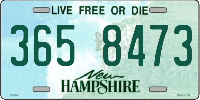 NH license plate 3658473